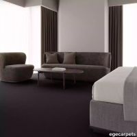 12-083778548.webp thumb image