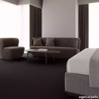 12-083781548.webp thumb image