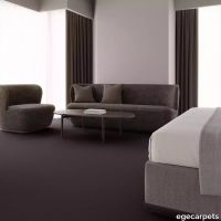 12-0907180.webp thumb image