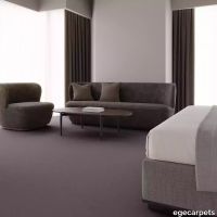 12-0909820.webp thumb image