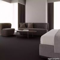 12-0903195.webp thumb image