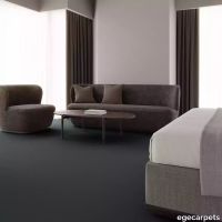 12-0903335.webp thumb image