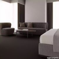 12-0903375.webp thumb image