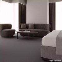 12-0903710.webp thumb image