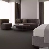 12-0911370.webp thumb image