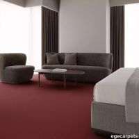 12-0911420.webp thumb image