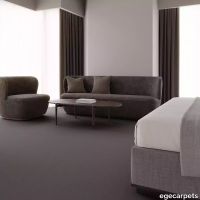 12-0911705.webp thumb image