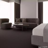 12-0913150.webp thumb image