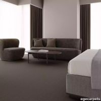 12-0913210.webp thumb image