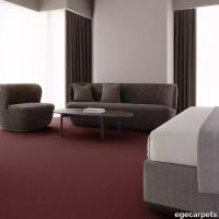 12-0913420.webp thumb image