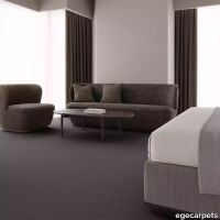 12-0913510.webp thumb image