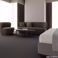 12-0913535.webp thumb image