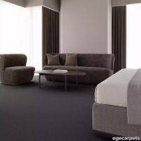 12-0913550.webp thumb image