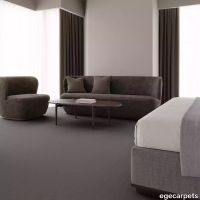 12-0913700.webp thumb image