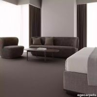 12-2358260.webp thumb image