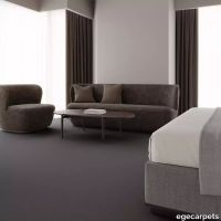 12-2358740.webp thumb image