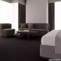 12-2358825.webp thumb image