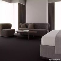 12-2358820.webp thumb image