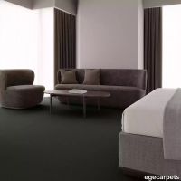 12-2471390.webp thumb image