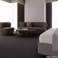 12-2471786.webp thumb image