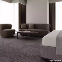 12-RF5500529.webp thumb image