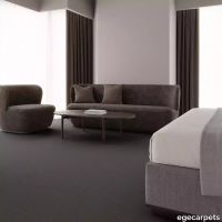 12-RF5500536.webp thumb image