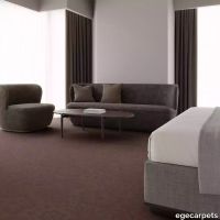12-RF5500538.webp thumb image