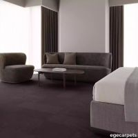 12-RF5500558.webp thumb image