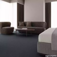 12-RF5500585.webp thumb image