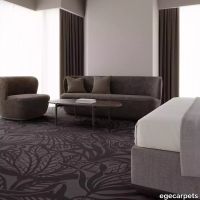 12-RF5500147.webp thumb image