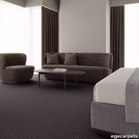 12-RF5500186.webp thumb image