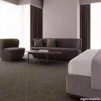 12-RF55001915.webp thumb image