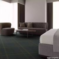 12-RF5500296.webp thumb image