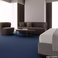12-RF5520010.webp thumb image