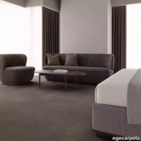 12-RF5575507.webp thumb image