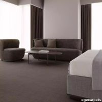 12-RF5575510.webp thumb image