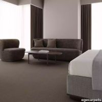 12-RF5575537.webp thumb image