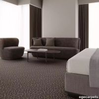 12-RF5575630.webp thumb image
