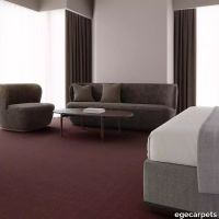 12-RF5575803.webp thumb image
