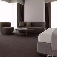 12-RF5575126.webp thumb image