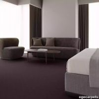 12-RF5575223.webp thumb image
