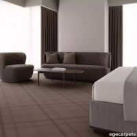 12-RF5575277.webp thumb image