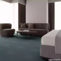 12-RF5575316.webp thumb image
