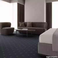 12-RF5595405.webp thumb image