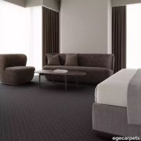 12-RF5595430.webp thumb image