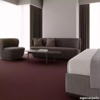 12-RF5595440.webp thumb image