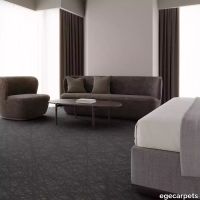 12-RF5595501.webp thumb image