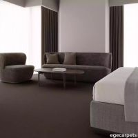 12-RF5595503.webp thumb image