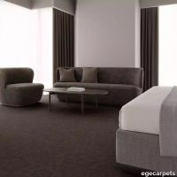 12-RF5595508.webp thumb image