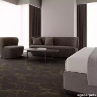 12-RF5595624.webp thumb image
